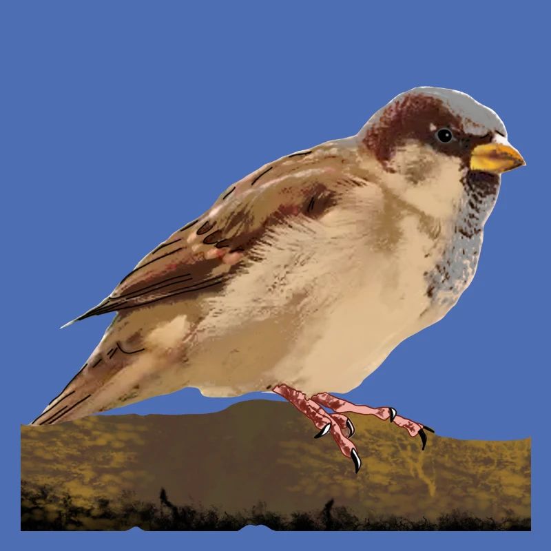 Spatz