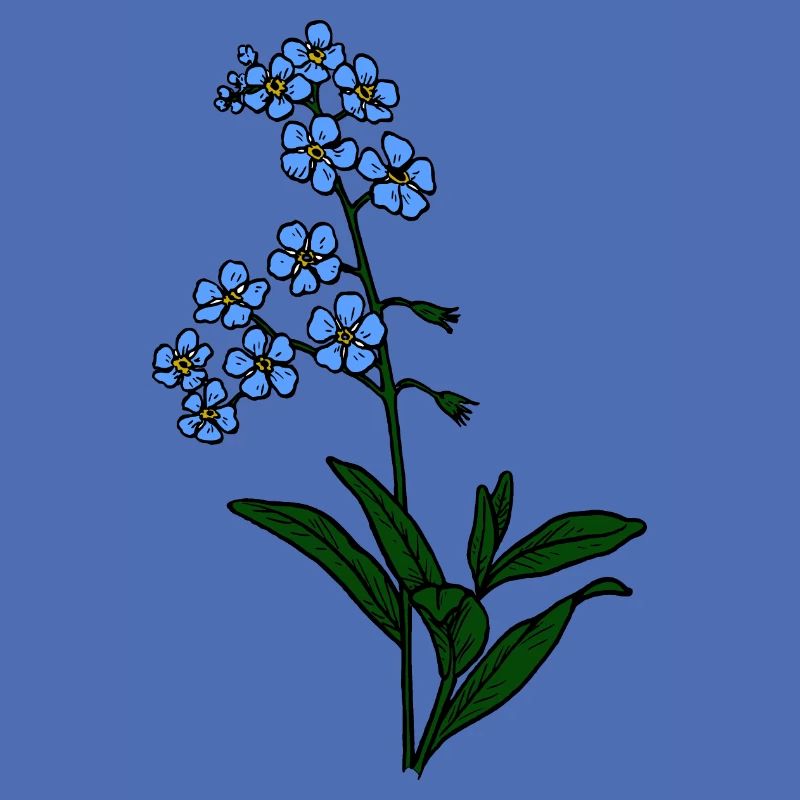 Forget-me-not blue