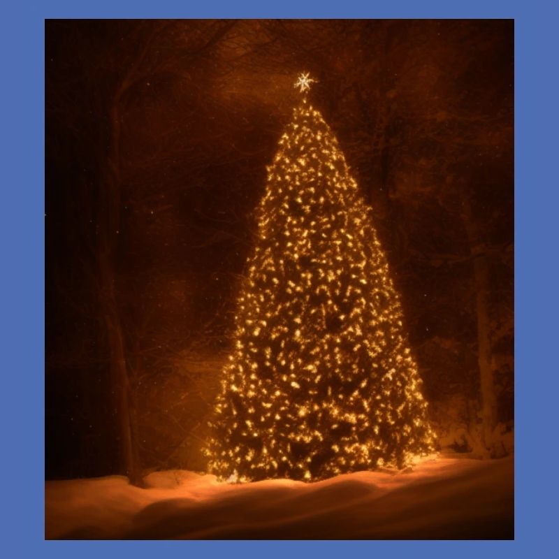 Weihnachtsbaum