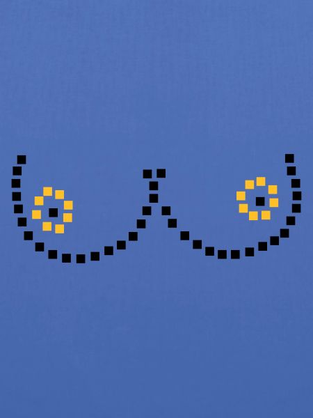 Pixel breasts