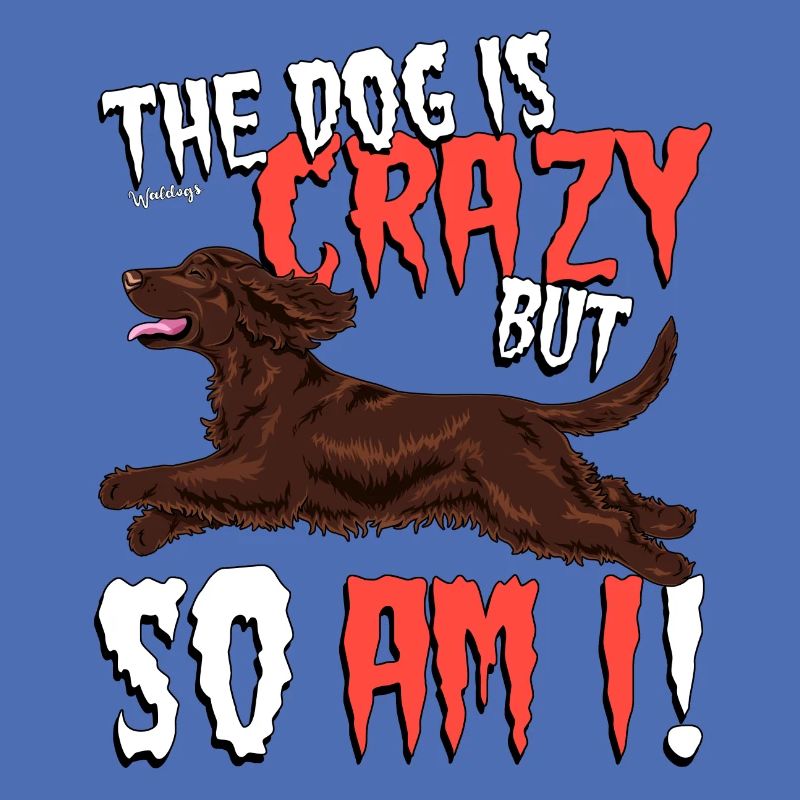 cockercrazy2