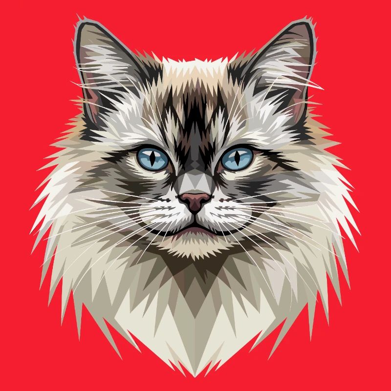 Chat Birman Chat Birman Sacré Chat Birman Mignons Chats Birman