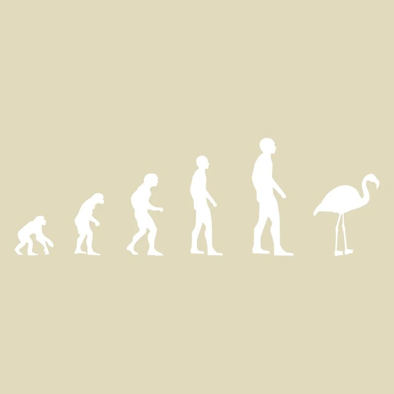 Flamingo - Evolution