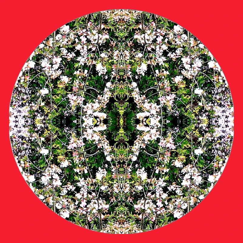 Source du Mandala de la Nature à Nuremberg