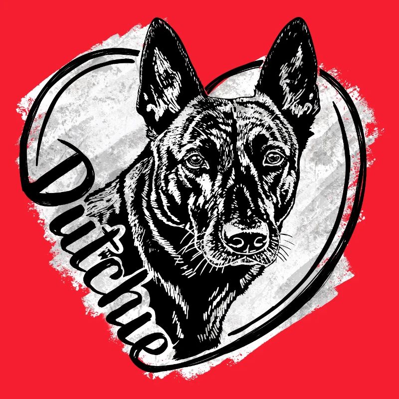 Dutch Shepherd – Dutchie