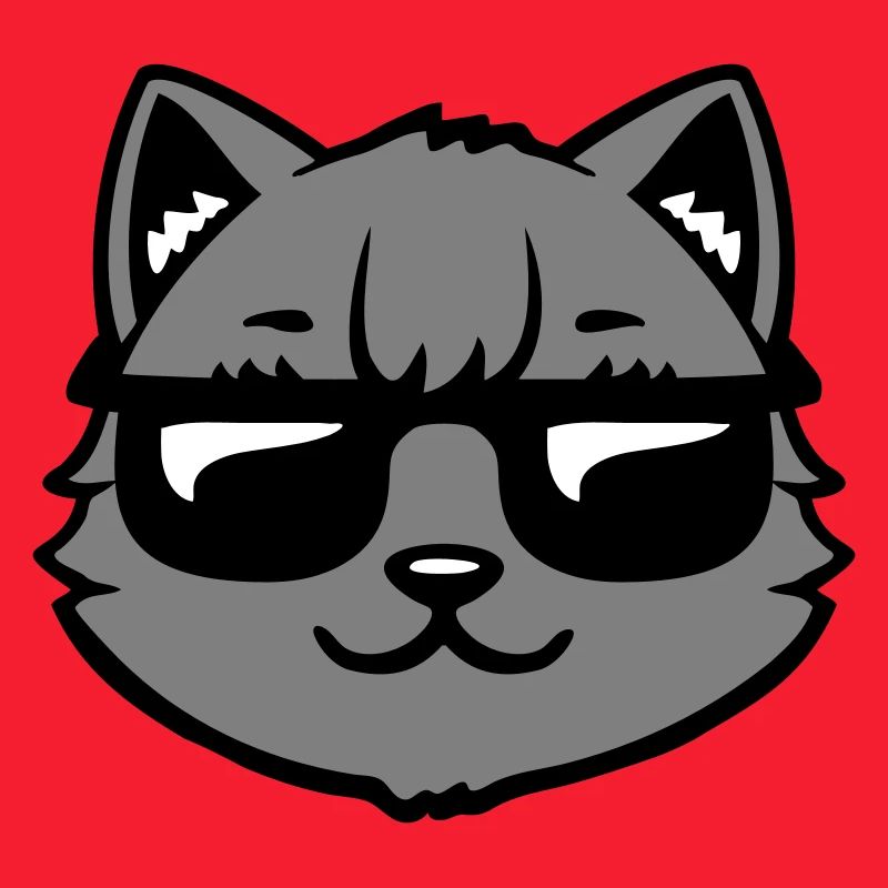 Lunettes de soleil gris chat Look cool style décontracté