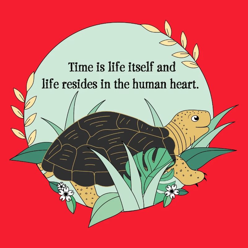 Turtle Cassiopeia