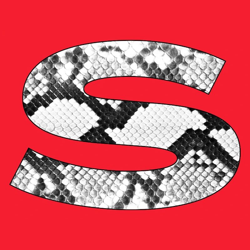 Snakeskin Pattern Letter s