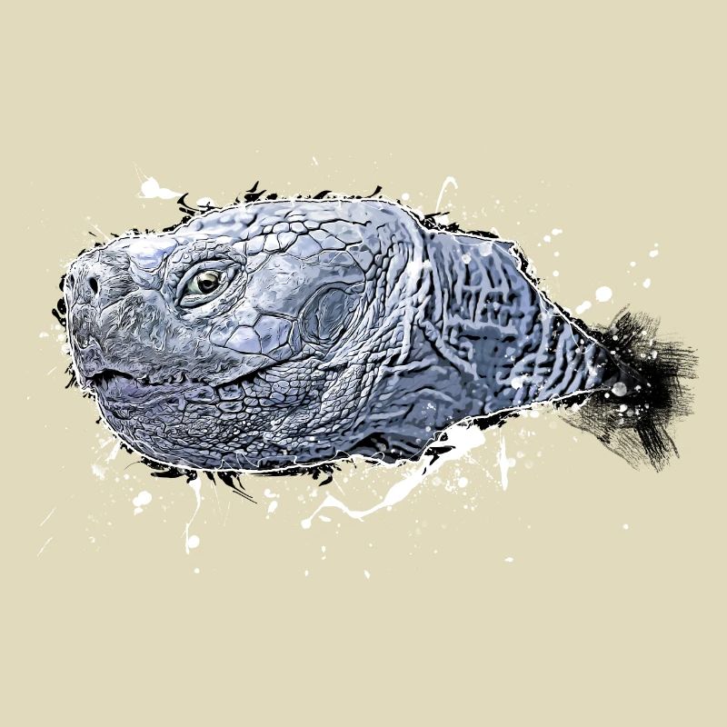 Schildkröte