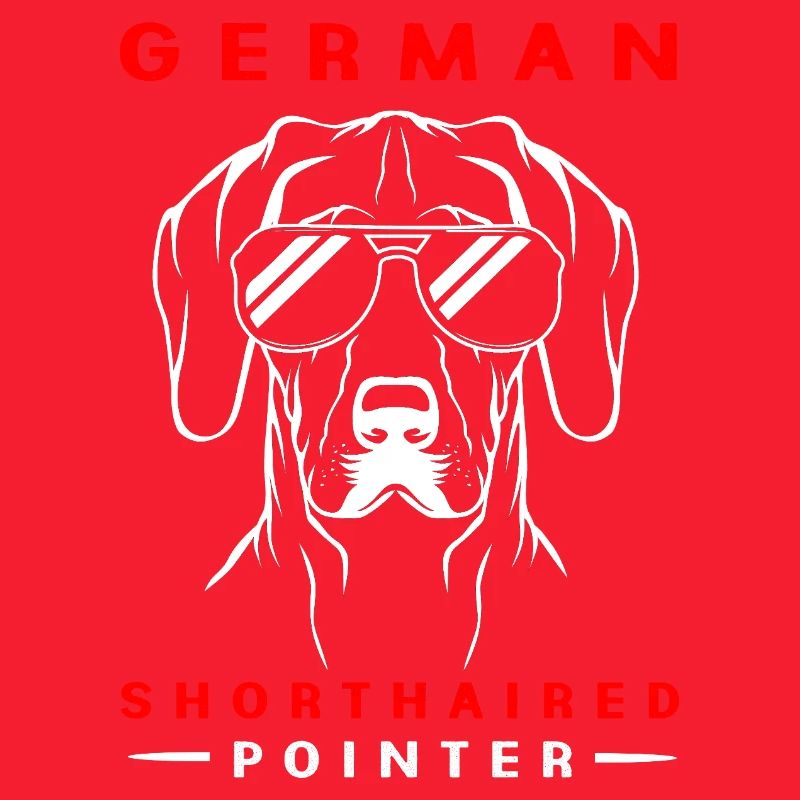 Deutsch Kurzhaar Hund German Pointer