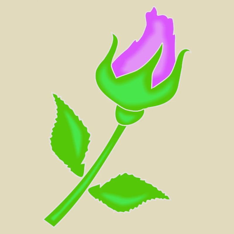 Rose dans une teinte violette