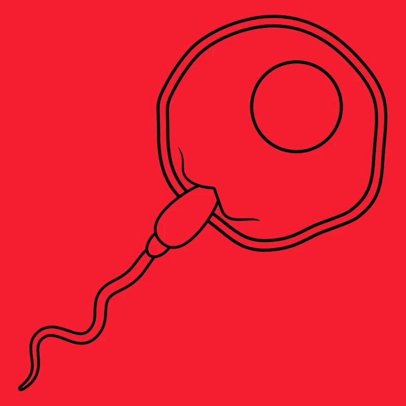 fertilization egg insemination egg sperm sperm