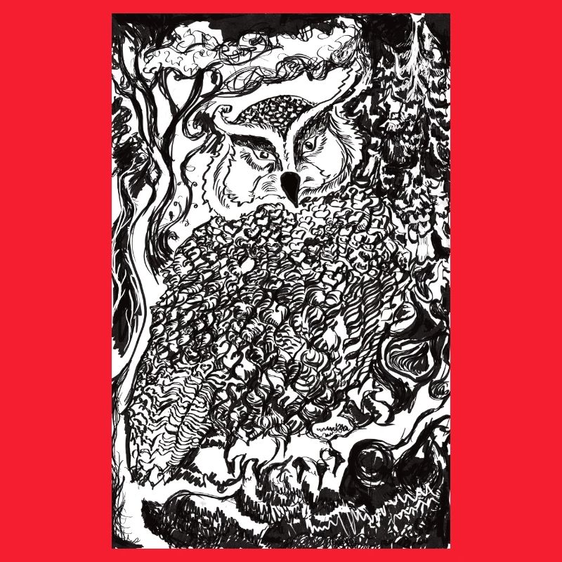 Nachtwald Eulenillustration