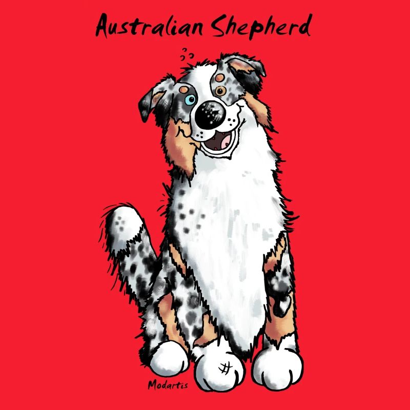Berger australien – Aussie – Chien