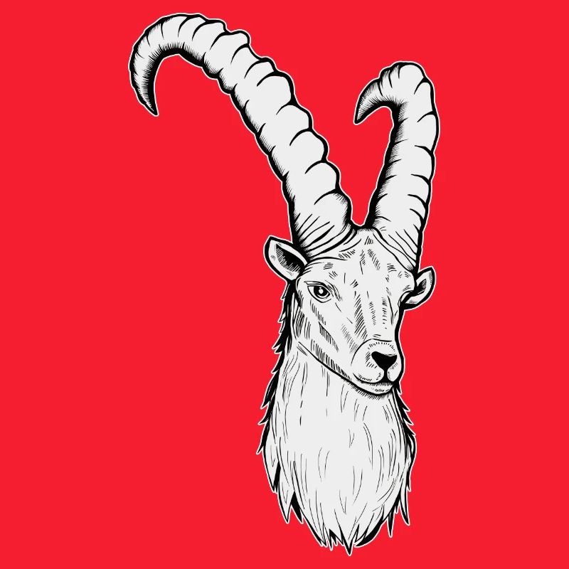 Steinbock Sternzeichen