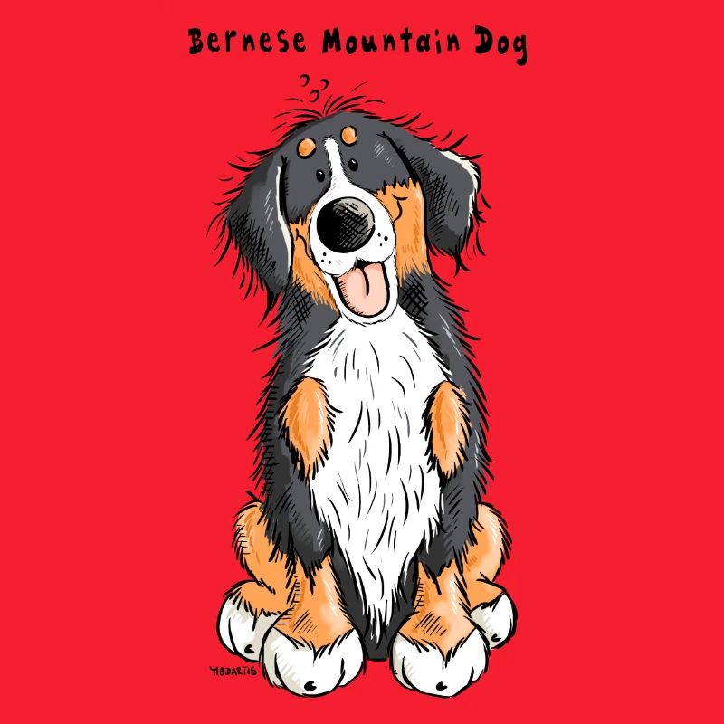 Berner Sennenhund mach Sitz