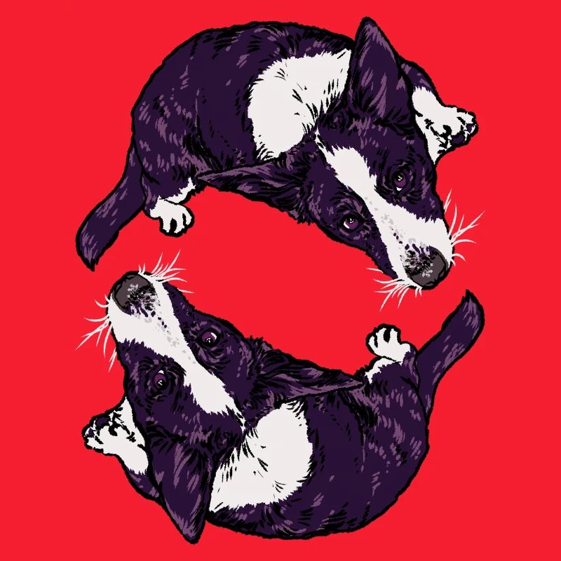 Corgis