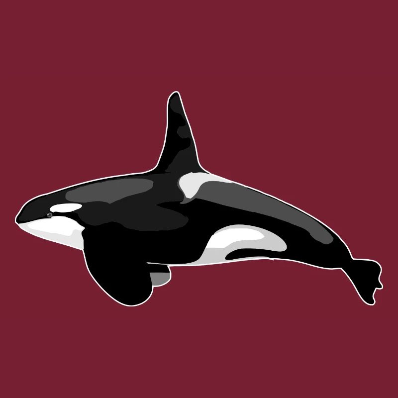 Orca