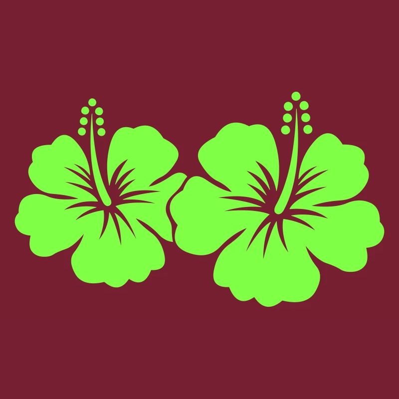 Fleur d’hibiscus