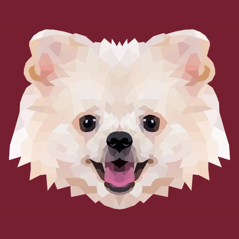 Polyart Dwarf Spitz