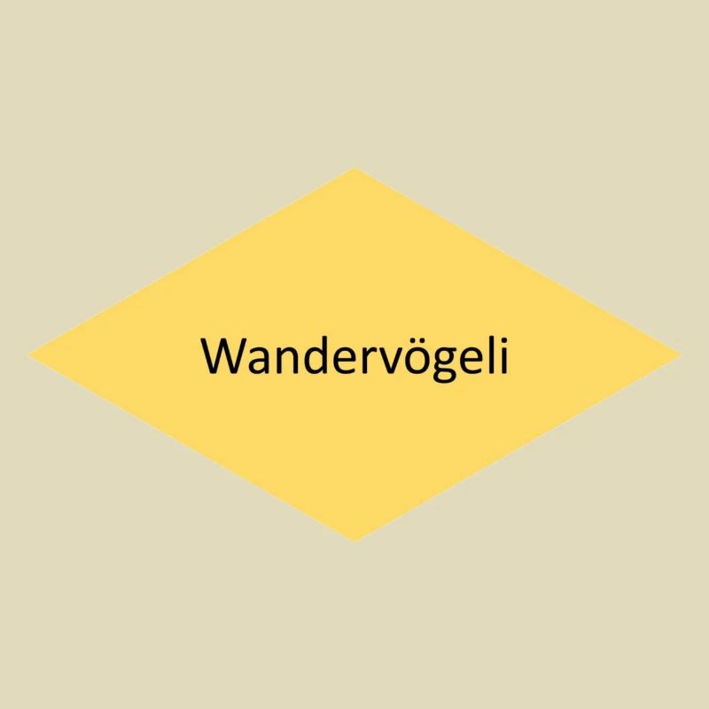 Wandervögeli