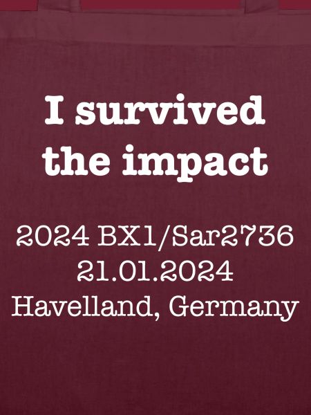 Havelland Impact 2024