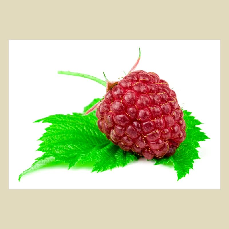Raspberry. Raspberry