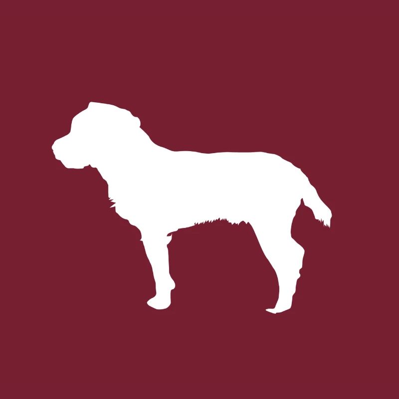 Jagdterrier - Deutscher Jagdterrier