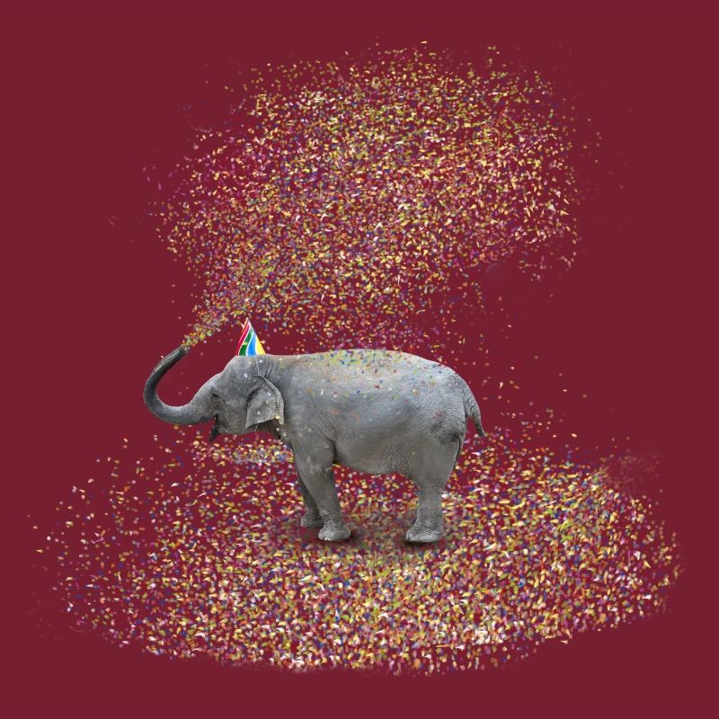 Elefant