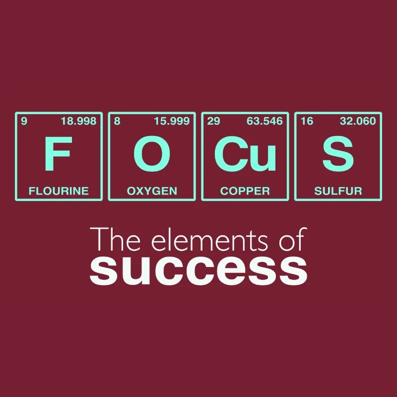 Drôles de dictons : Les éléments du succès - FOCUS