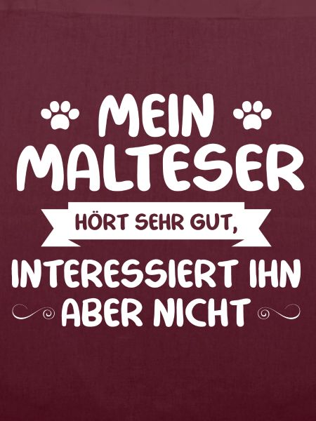 Malteser Hund - Malteser