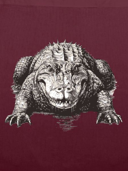 Australian Aligator