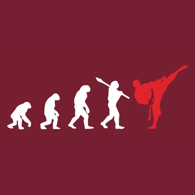 Karate Evolution Development Martial Art