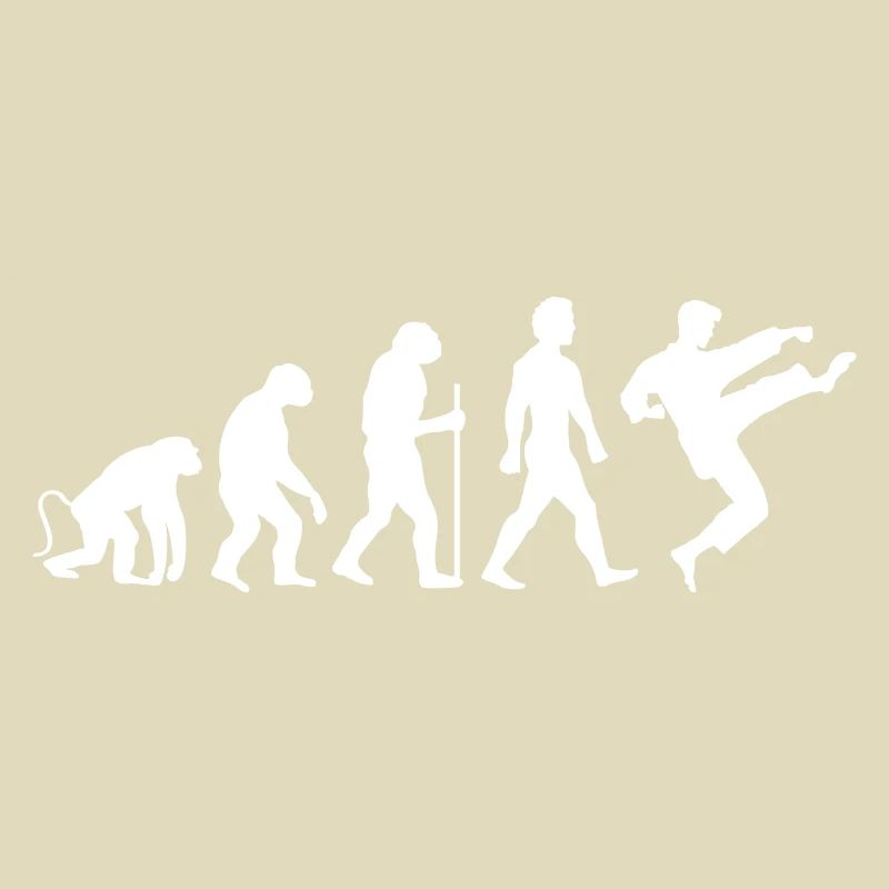 Karaté Évolution