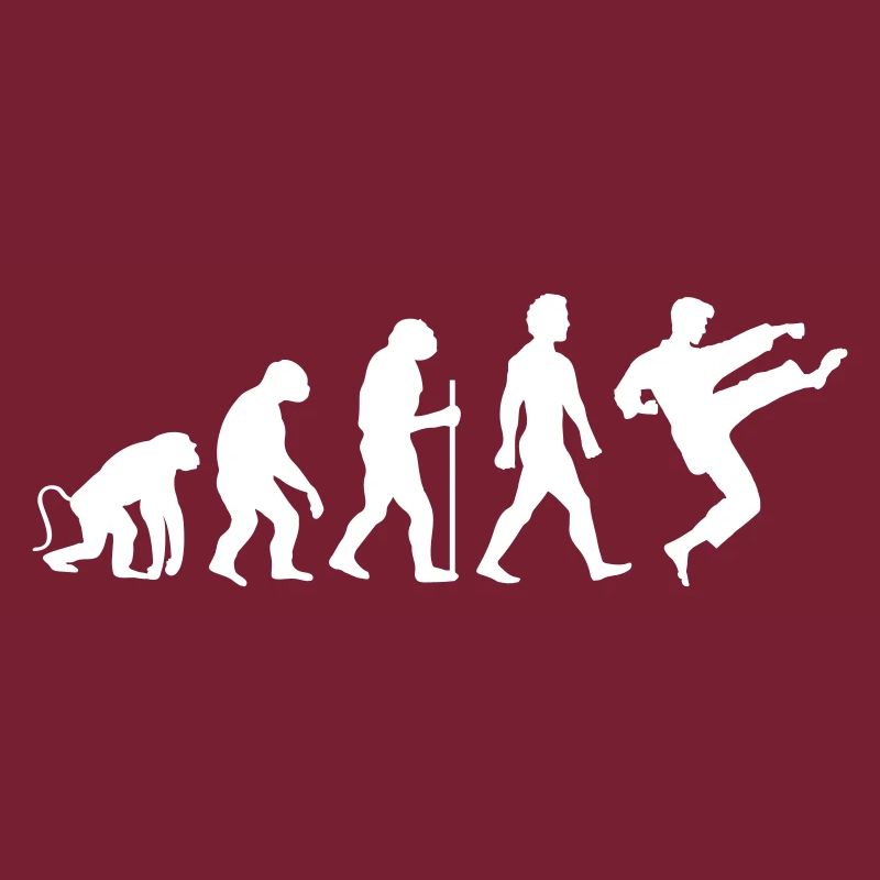 Karaté Évolution