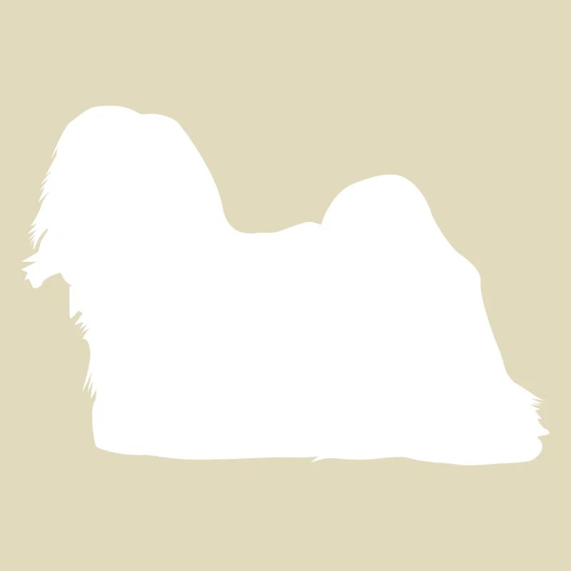 Lhasa Apso - Lhasa Apso Chien