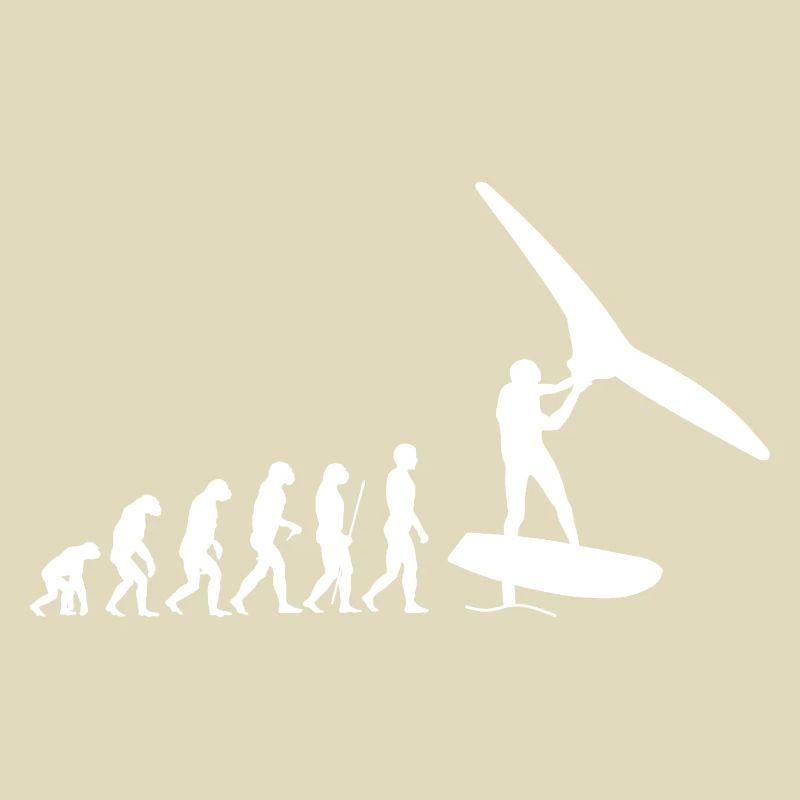 Wingfoil evolution