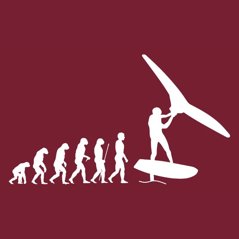 Wingfoil Evolution