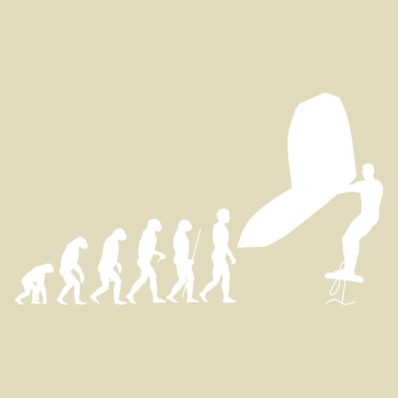 Wingsurf Evolution