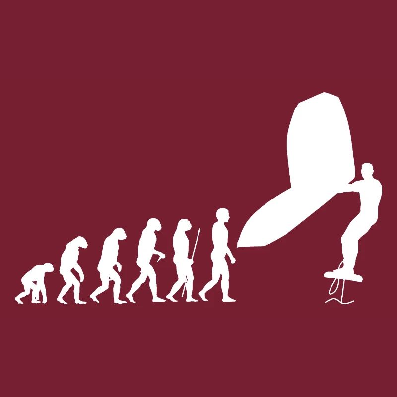 Wingsurf Evolution