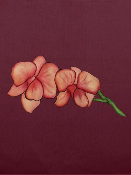Rosa Orchidee