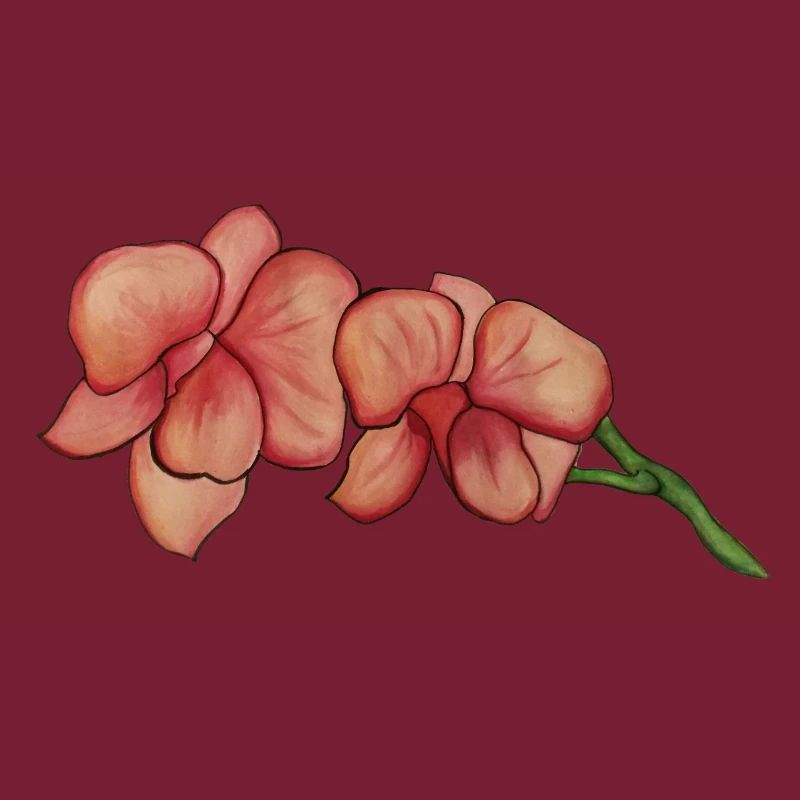 Rosa Orchidee