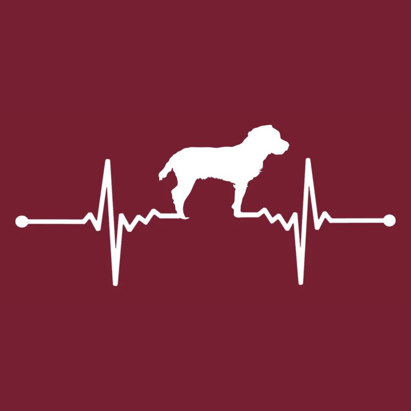 Jagdterrier - Deutscher Jagdterrier