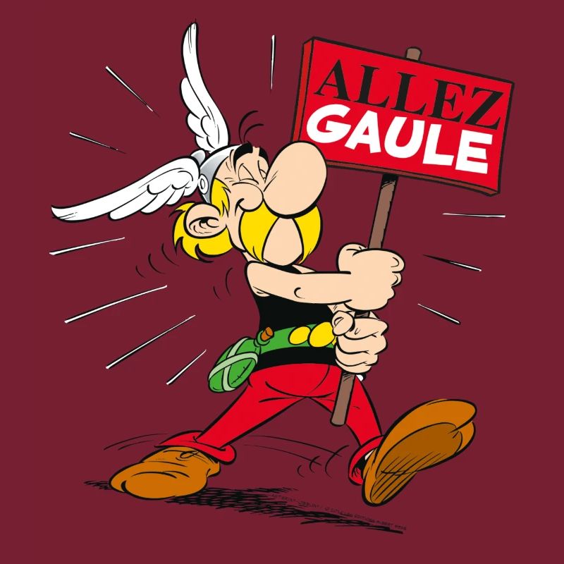 Asterix - Go Gaul!