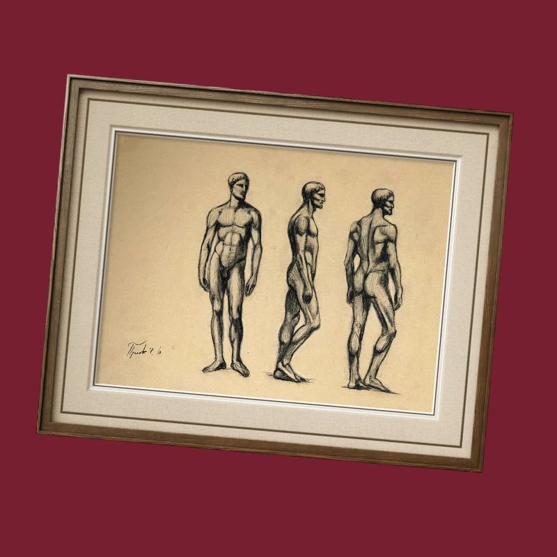 Anatomische Studien