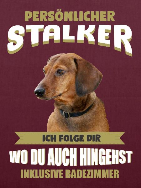Dackel Hund - Dackel