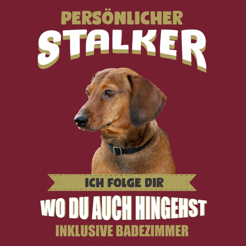Dackel Hund - Dackel
