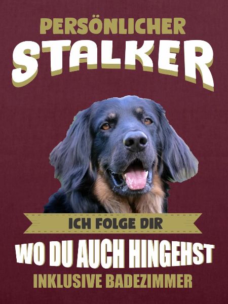 Hovawart Hund - Hovawart