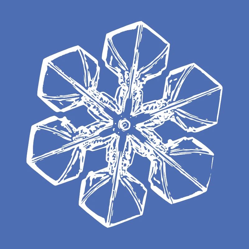 snowflake 2 white