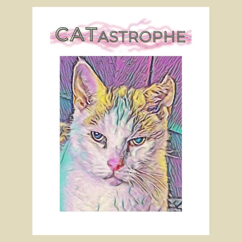 Catastrophe, Katze
